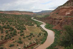 Dolores River