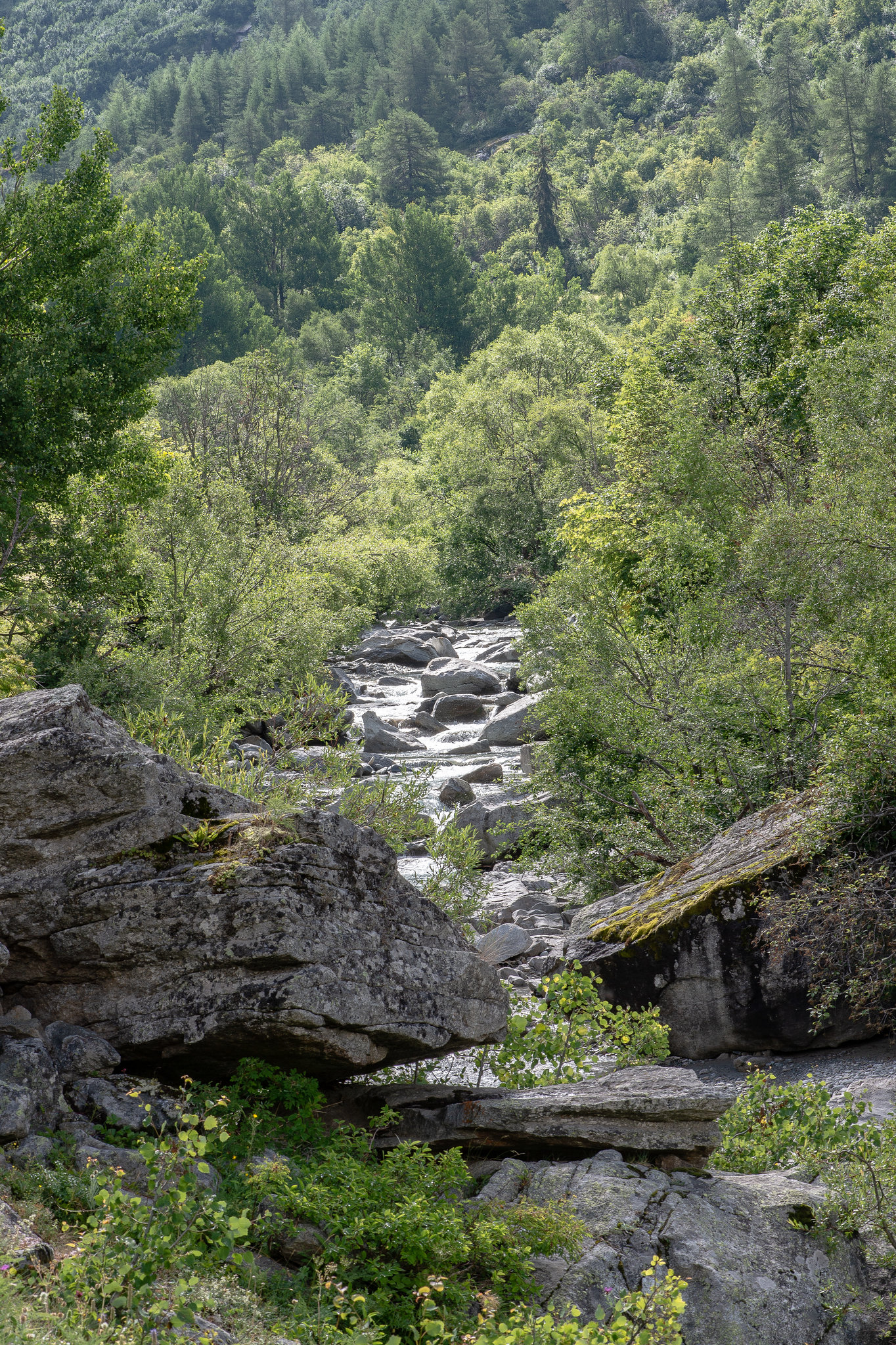 Der junge Fluss Arc zwischen La Tralenta (ca. 1830 müM.) und L'Écot (ca. 2000 müM.)