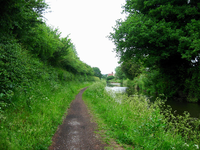 Looking towards Mops Farm on the Staffordshire and Worcestershire Canal