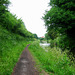 Looking towards Mops Farm on the Staffordshire and Worcestershire Canal