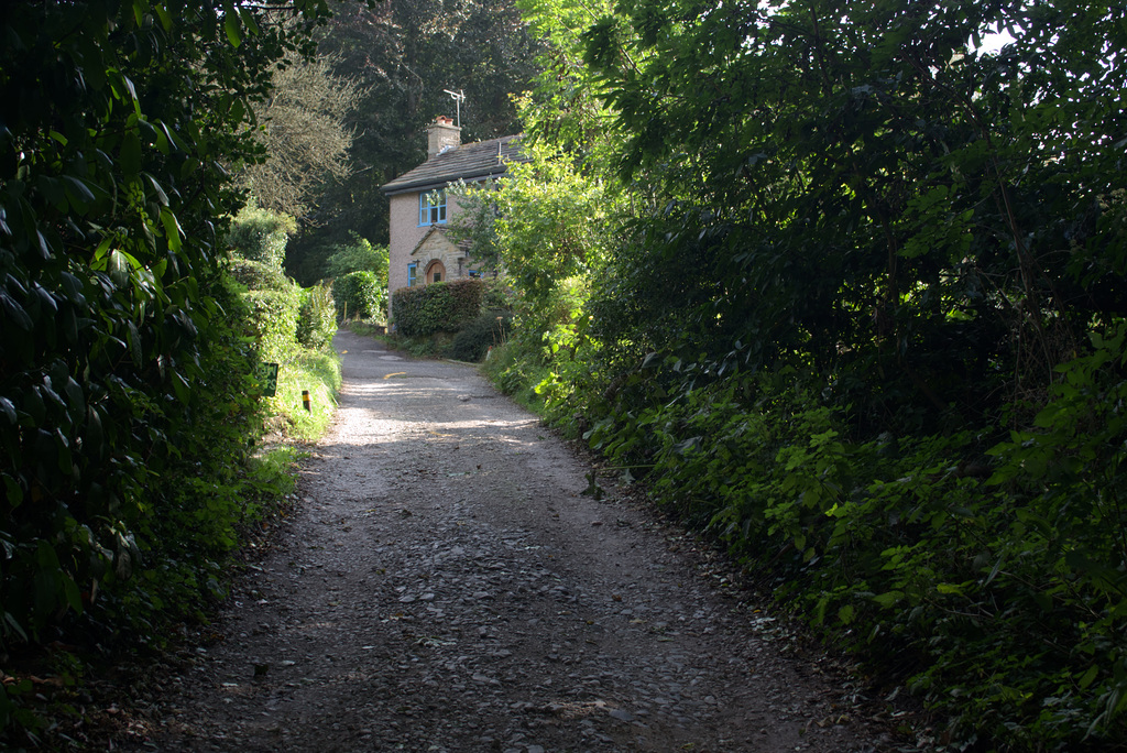 Cottage up a leafy lane