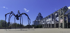 'Maman' vor der National Gallery of Canada (© Buelipix)