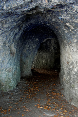 Nagelfluh-Höhle auf der Halbinsel Au (© Buelipix)