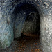 Nagelfluh-Höhle auf der Halbinsel Au (© Buelipix)