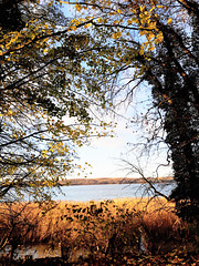 Herbstlicher Durchblick