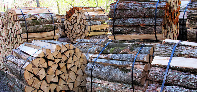 Holz vom Wald, kein Gas von Putin.