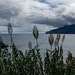 DSC05906