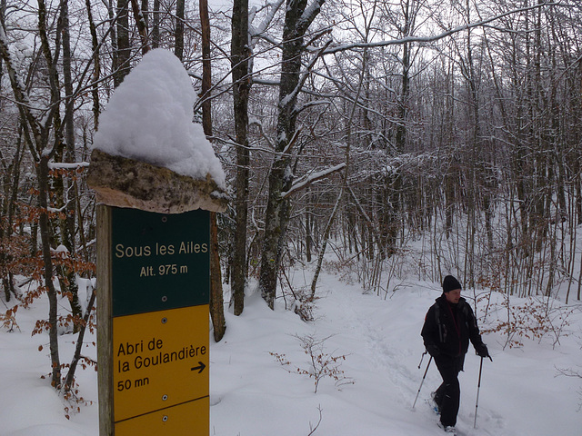 20150131 Raquettes Vercors La Goulandiere (114) al