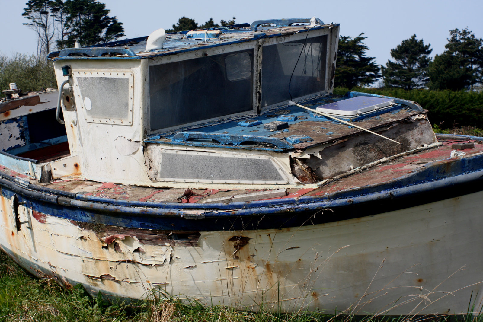 Vieux loup de mer