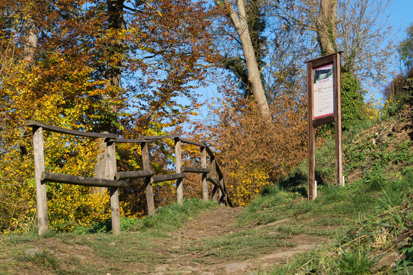 Altenahr - Burg Are DSC00825