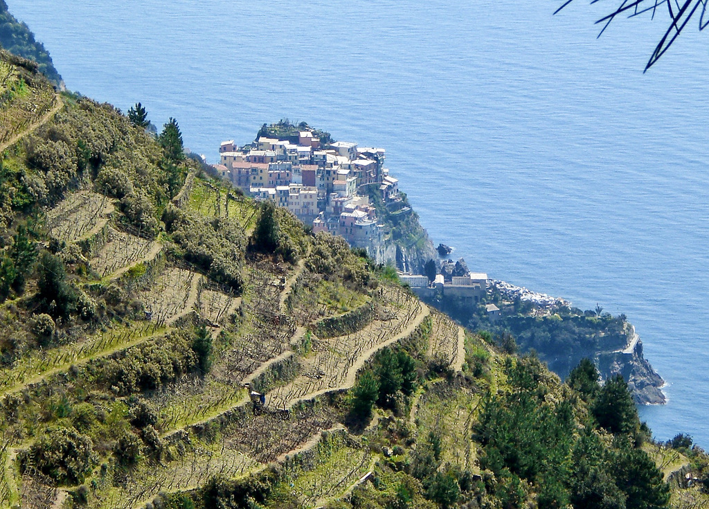 Manarola Stadt,  Cinque Terre