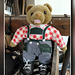 Teddy for Pam