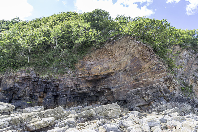 Syncline in Lower Coal Measures sandstones: Swallowtree Bay (north)