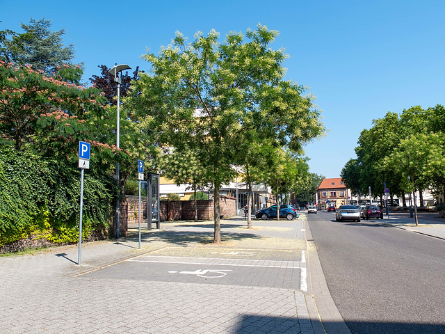 Auf dem Weg zum Adenauerpark