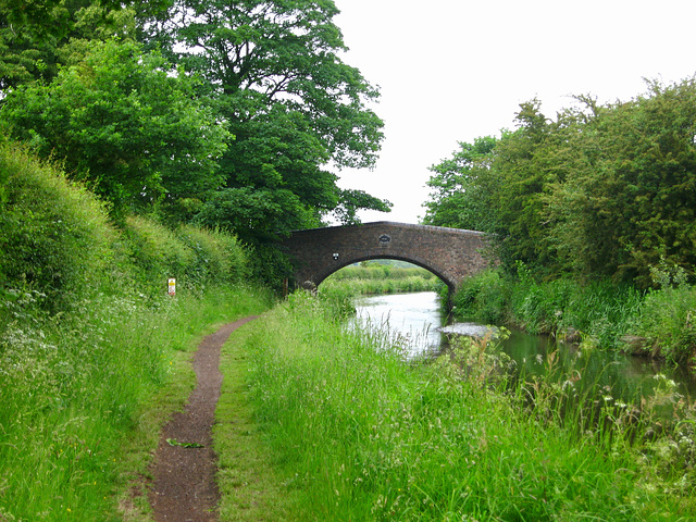 Mops Farm Bridge over the Staffordshire and Worcestershire Canal