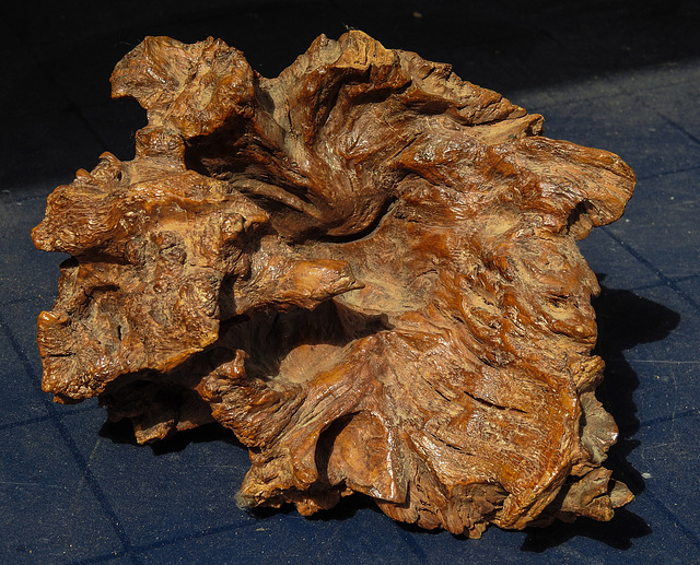 20210726 1998CPw [D~LIP] Holzskulptur, Bad Salzuflen