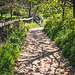 Stocks Lane