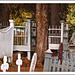 Graveyard in Barkerville, BC