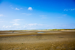 20140907 4866VRAw [NL] Strand, Terschelling