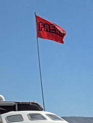 Flyin' Their Freak Flag (6770)