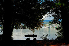 Halbinsel Au - Blick über den Zürichsee nach Meilen (© Buelipix)