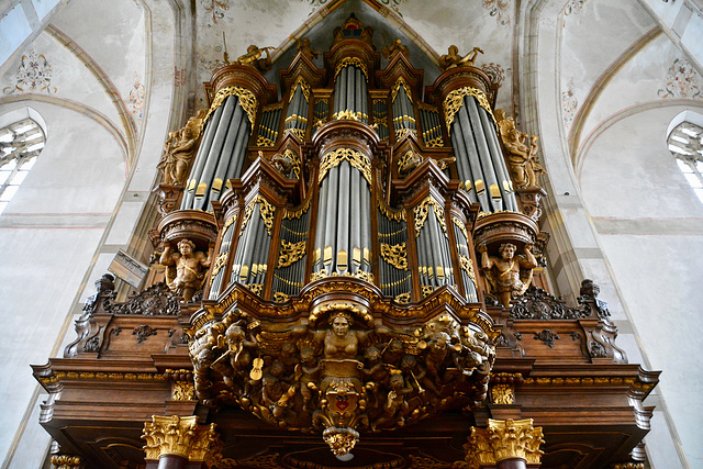 Zwolle 2017 – Schnitger organ