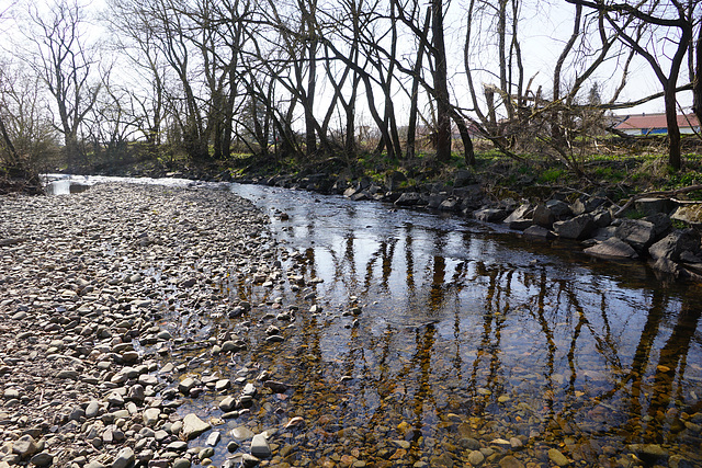 Entlang der Sieber bei sinkendem Wasserstand