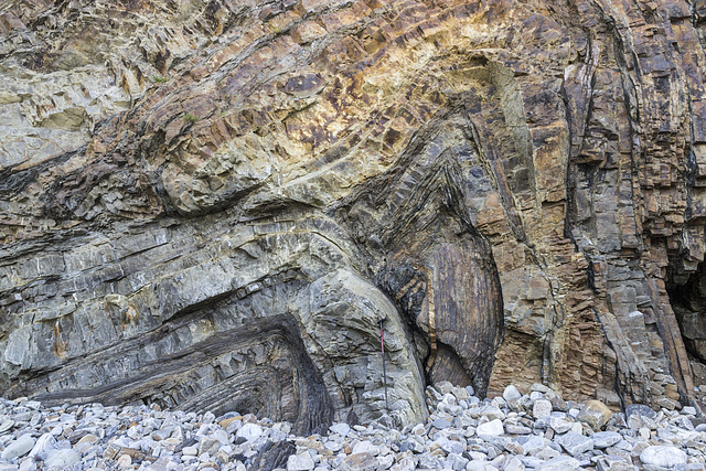 Swallowtree Bay anticline-syncline couplet: detail 1