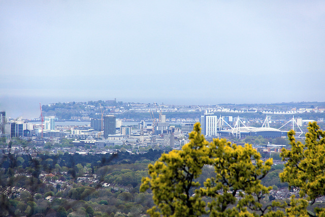 Cardiff View