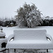 Snow Bench