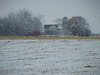 Minnesota farm