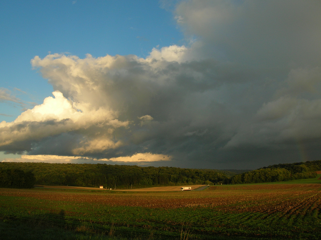 DSCN0761