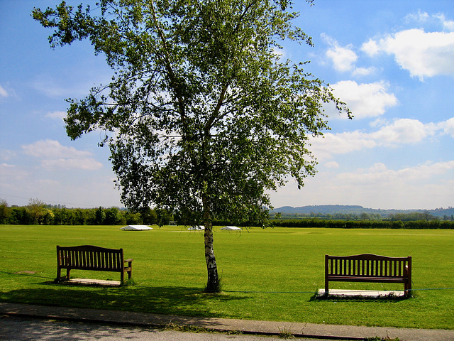 Cricket pitch at Stockton