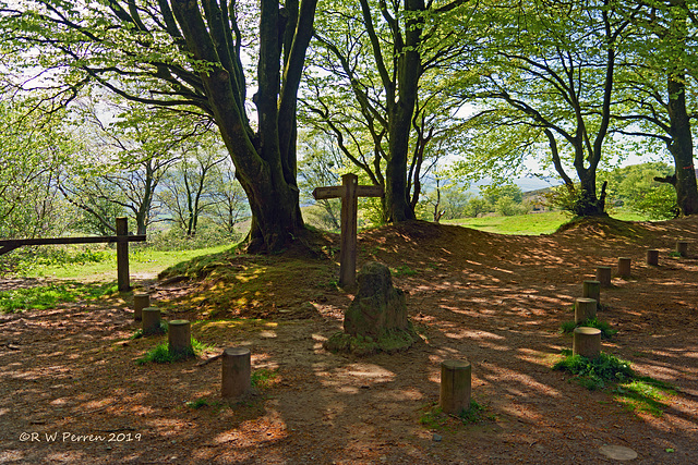 Triscombe Stone in dappled light.