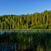 Lahiniitunlahti