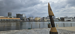 The Estuary and Recife