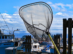 Wharf 3 Wharf 3