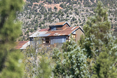 IMG 0575 adj
