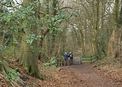 Early Spring in Prince's Wood