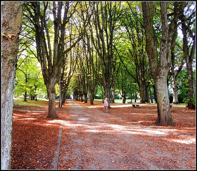 Farwick park entrance