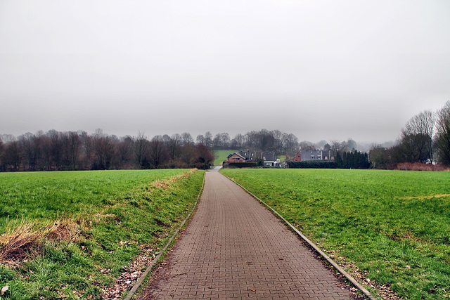 Weg am Bezirksfriedhof (Dortmund-Lütgendortmund) / 11.02.2023