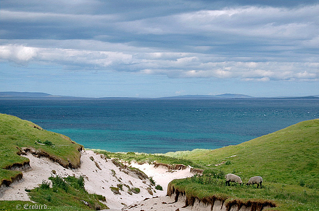 Sannick Bay Dunes