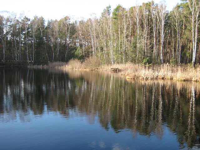 Barsee bei Sperenberg