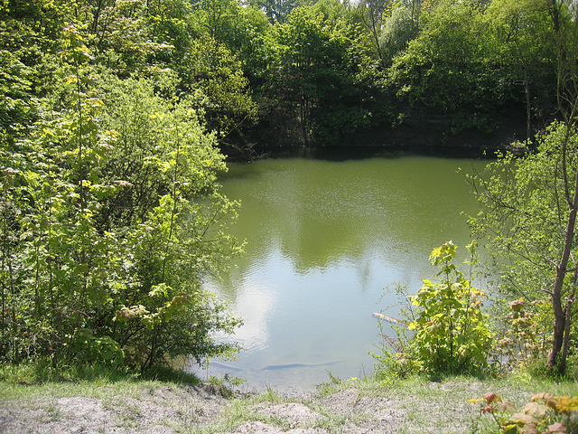 One of the smaller quarry pools near the disused railwayay at Stockton