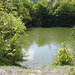 One of the smaller quarry pools near the disused railwayay at Stockton
