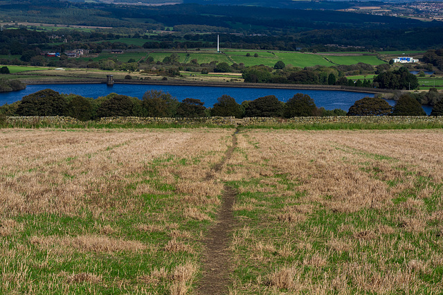 Path to Royd Moor Reservoir Path to Royd Moor Reservoir