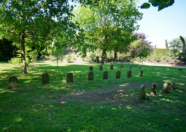 We once played here,..