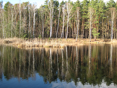 Barsee bei Sperenberg