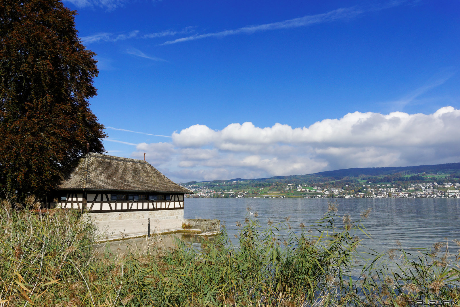 Blick über den Zürichsee nach Meilen (rechts) und Feldmeilen (links) (© Buelipix)