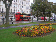 DSCN5026 Brighton and Hove Bus and Coach Company (Go-Ahead Group owned) 705 (YP58 UGE) 29 Sep 2010